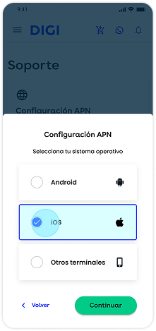 Configurar internet paso 4